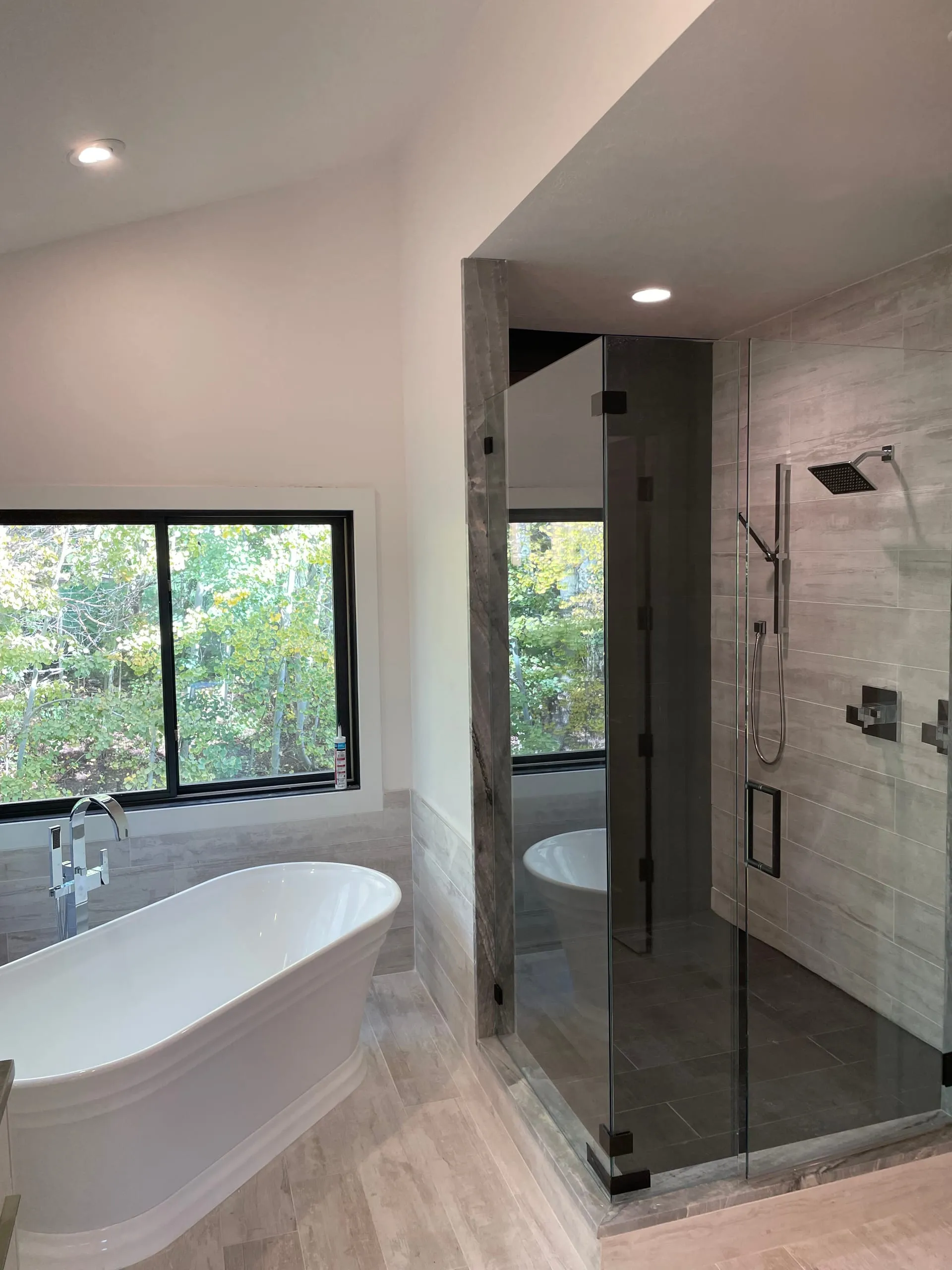 Master bath tub shower