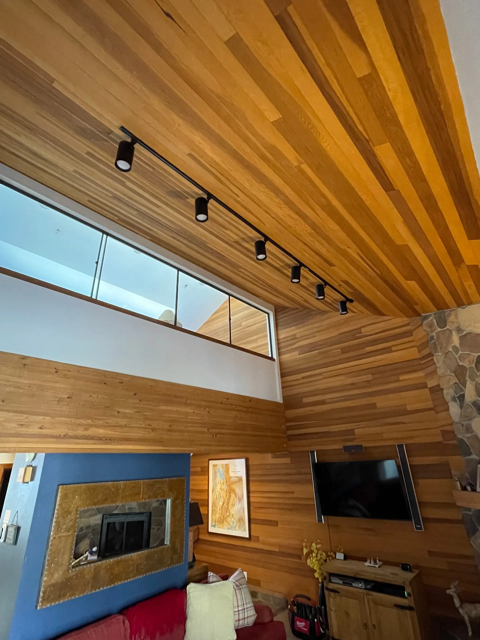 Wood clad great room track lights
